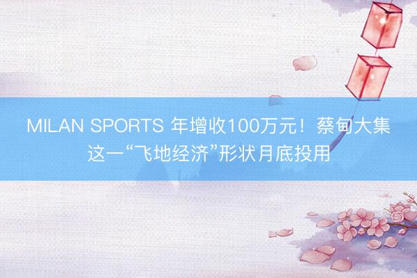 MILAN SPORTS 年增收100万元！蔡甸大集这一“飞地经济”形状月底投用