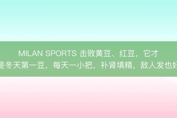 MILAN SPORTS 击败黄豆、红豆,它才是冬天第一豆,每天一小把,补肾填精,敌人发也好