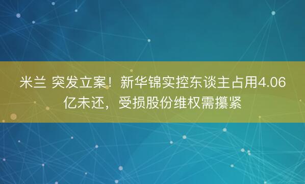 米兰 突发立案!新华锦实控东谈主占用4.06亿未还,受损股份维权需攥紧