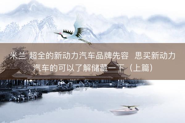 米兰 超全的新动力汽车品牌先容  思买新动力汽车的可以了解储藏一下（上篇）